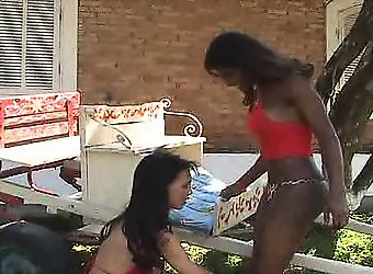 Download sample movie