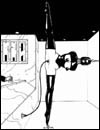 Free sex toons