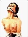 Free extreme porn comics