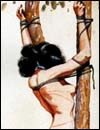 Extreme sex toons gallery