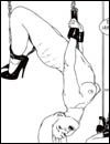 Free extreme adult comics