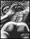 Sex cartoons and adult comics