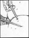Free extreme adult artworks