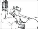 Extreme sex toons gallery