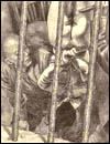 Sadistic porn drawings