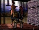 Free extreme adult cartoons