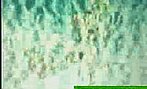 Clip5