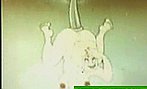 Clip3