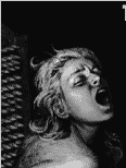 Pain Comics: the biggest collection of cruel porn comics
