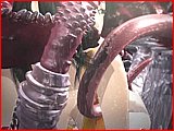 Free Sample from the movie