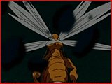 Free Sample Movie Screenshoot