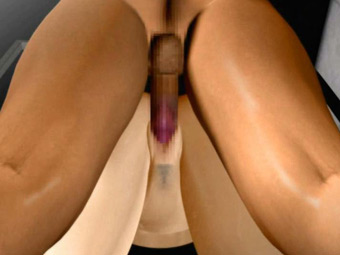 Hentai 3D sex movie