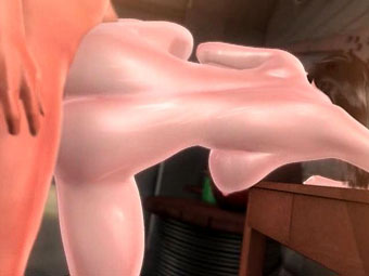 Hentai 3D sex movie