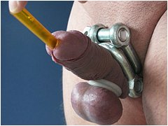 #5 Urethral Play Sample
