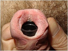 #5 Urethral Play Sample