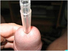 #2 Urethral Play Sample