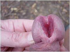 #1 Urethral Play Sample