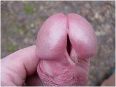 #2 Urethral Play Sample