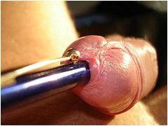 #4 Urethral Play Sample