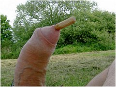 #1 Urethral Play Sample
