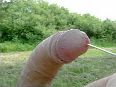 #4 Urethral Play Sample