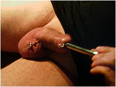 #6 Urethral Play Sample