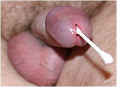 #5 Urethral Play Sample