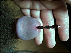 #6 Urethral Play Sample