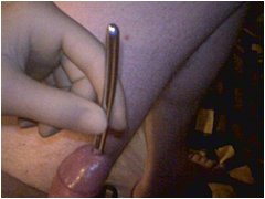 #3 Urethral Play Sample