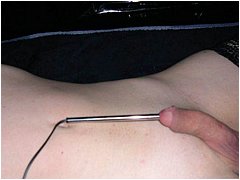 #3 Urethral Play Sample