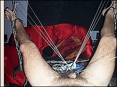 #6 Urethral Play Sample