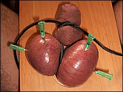 #1 Urethral Play Sample
