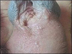 #1 Urethral Play Sample