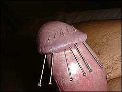#5 Urethral Play Sample