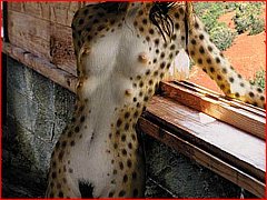 Free Sample Furry Sex Picture