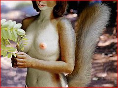 Free Sample Furry Sex Picture