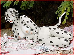 Free Sample Furry Sex Picture
