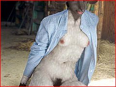 Free Sample Furry Sex Picture