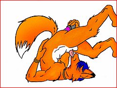 Free Sample Furry Sex Picture