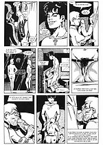 E-Comics Linrary