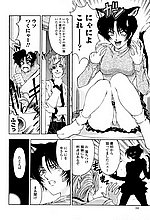 J-COMICS COLLECTION