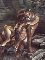 gay hentai sex