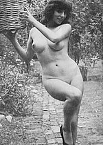 Porn Pioneers
