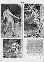 Porn Pioneers
