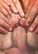 015