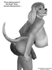 furry