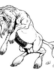 furries
