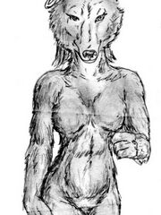 furry herm