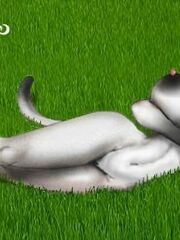 furry herm