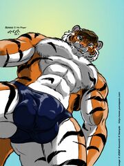 furry hentai